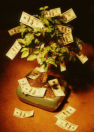 Money tree