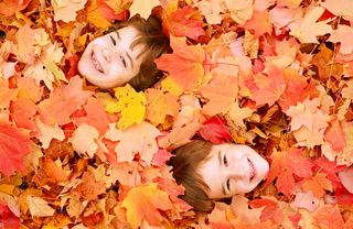 Kids in fall leaves